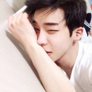 飞翔的自由