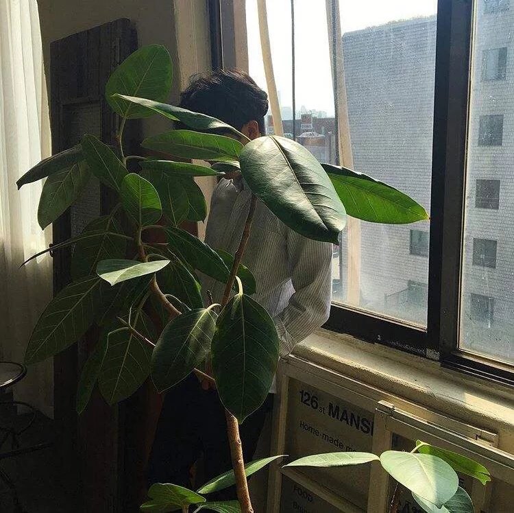 倪碎束倪控匹