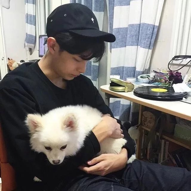 良人已去