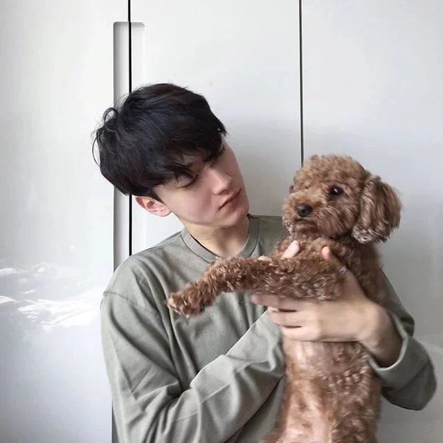 迎痕逢毁错
