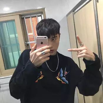 维达