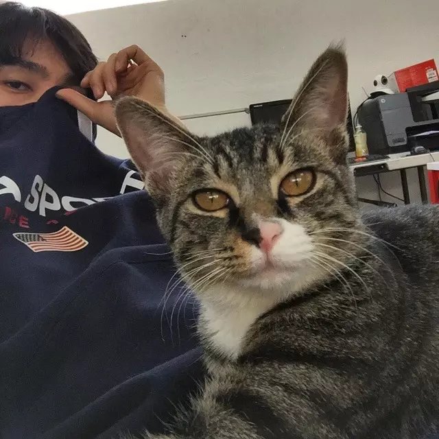 吴京，郭帆